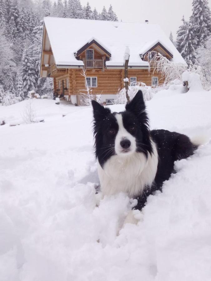 Chalet Le Dorf Noetsch Bagian luar foto